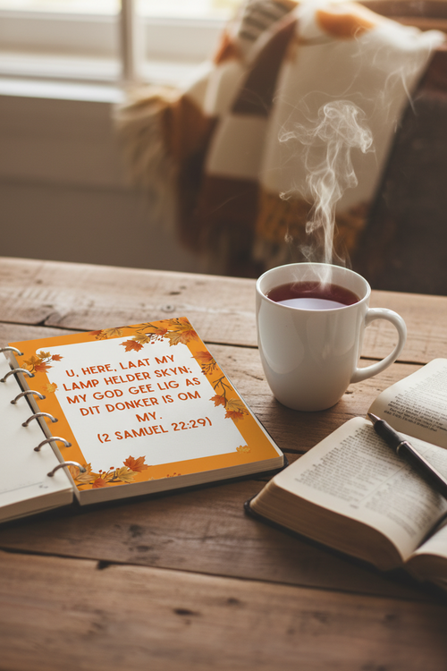 Christelike Joernaal vir mans - U laat my lamp helder skyn vir mans